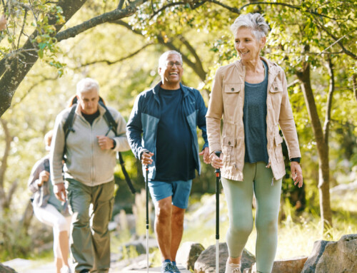 Improving Older Adult Mobility while Reducing Fall Risk