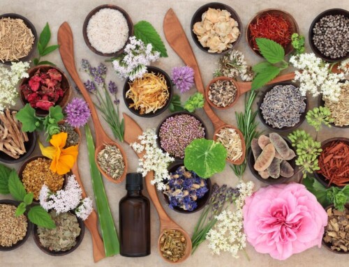 Eating garlic, berries, and tea may support younger, healthier cells