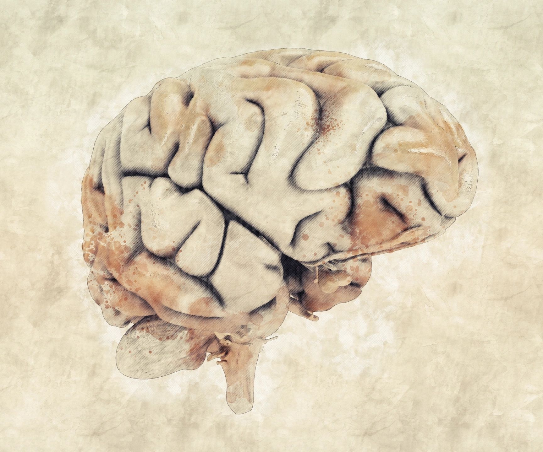 Sedentary behavior linked to increased Alzheimer's risk in older adults 1 qtq80